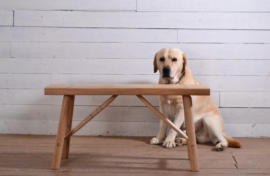 Banc en bois massif, chêne, banc d'intérieur / extérieur, banc hall d'entrée