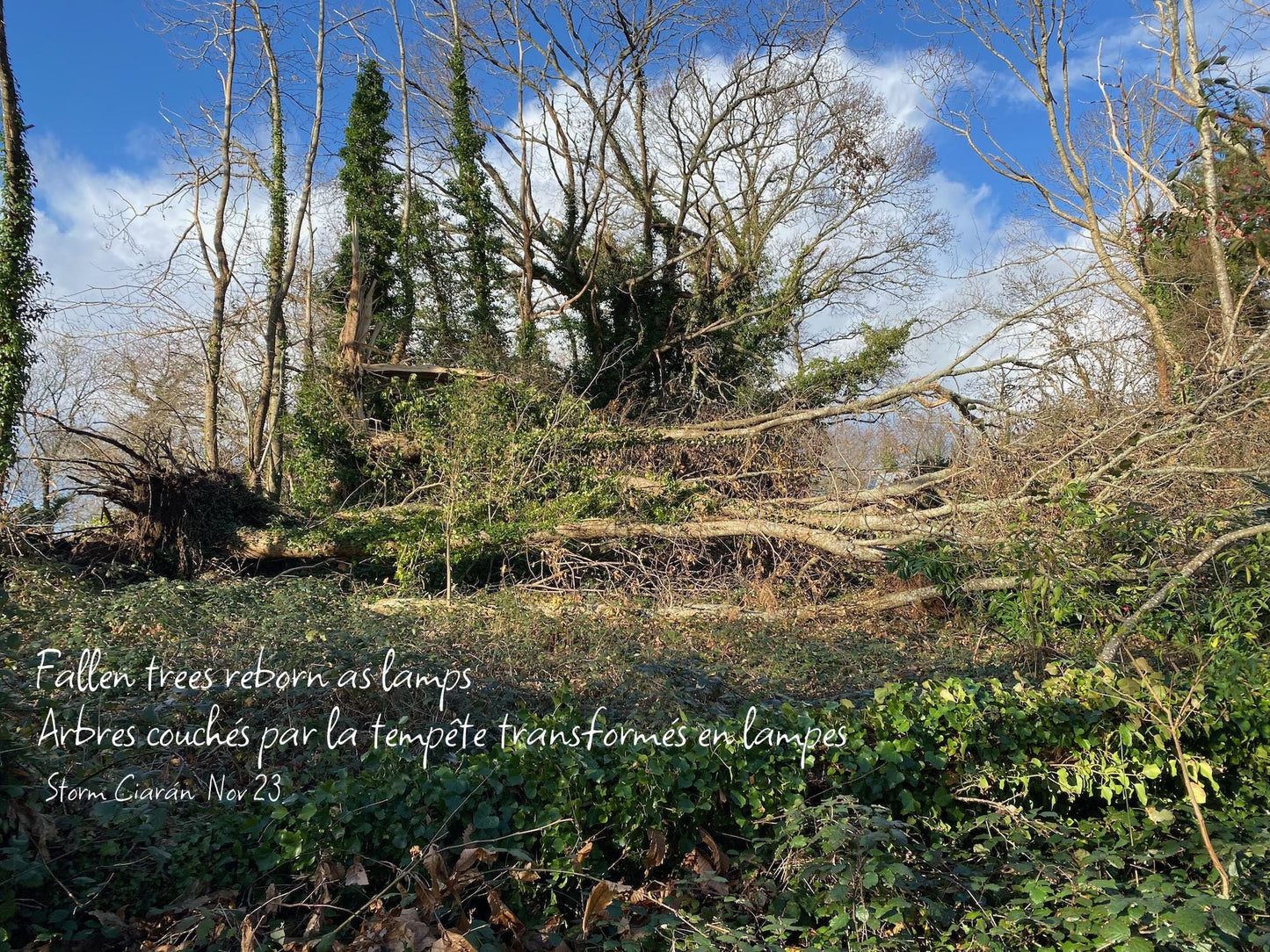 Lampadaire en bois naturel – Branche de châtaignier – Pied acier noir – 160 cm – Abat-jour ou ampoule LED – Pièce unique artisanale