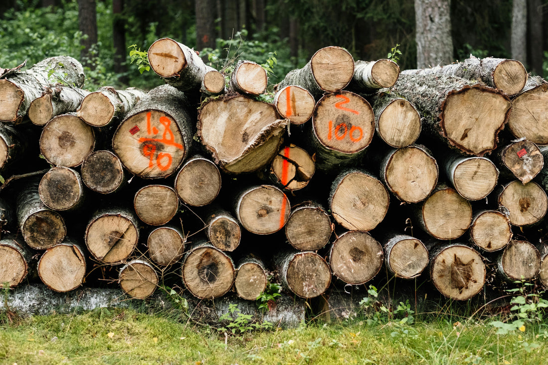 Bois local vs bois importé : quelles différences ?