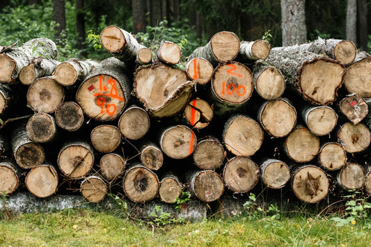 Bois local vs bois importé : quelles différences ?
