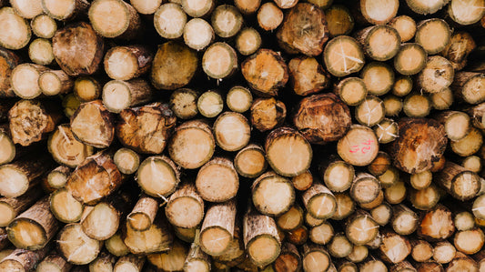 Les bois les plus utilisés en Europe : quelles essences dominent vraiment le marché ?