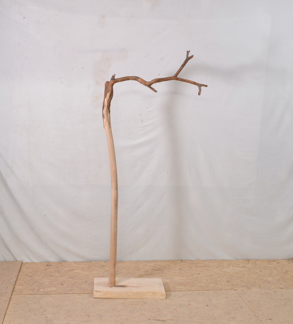 Valet de chambre, portant vêtements en bois avec une branche (chêne)