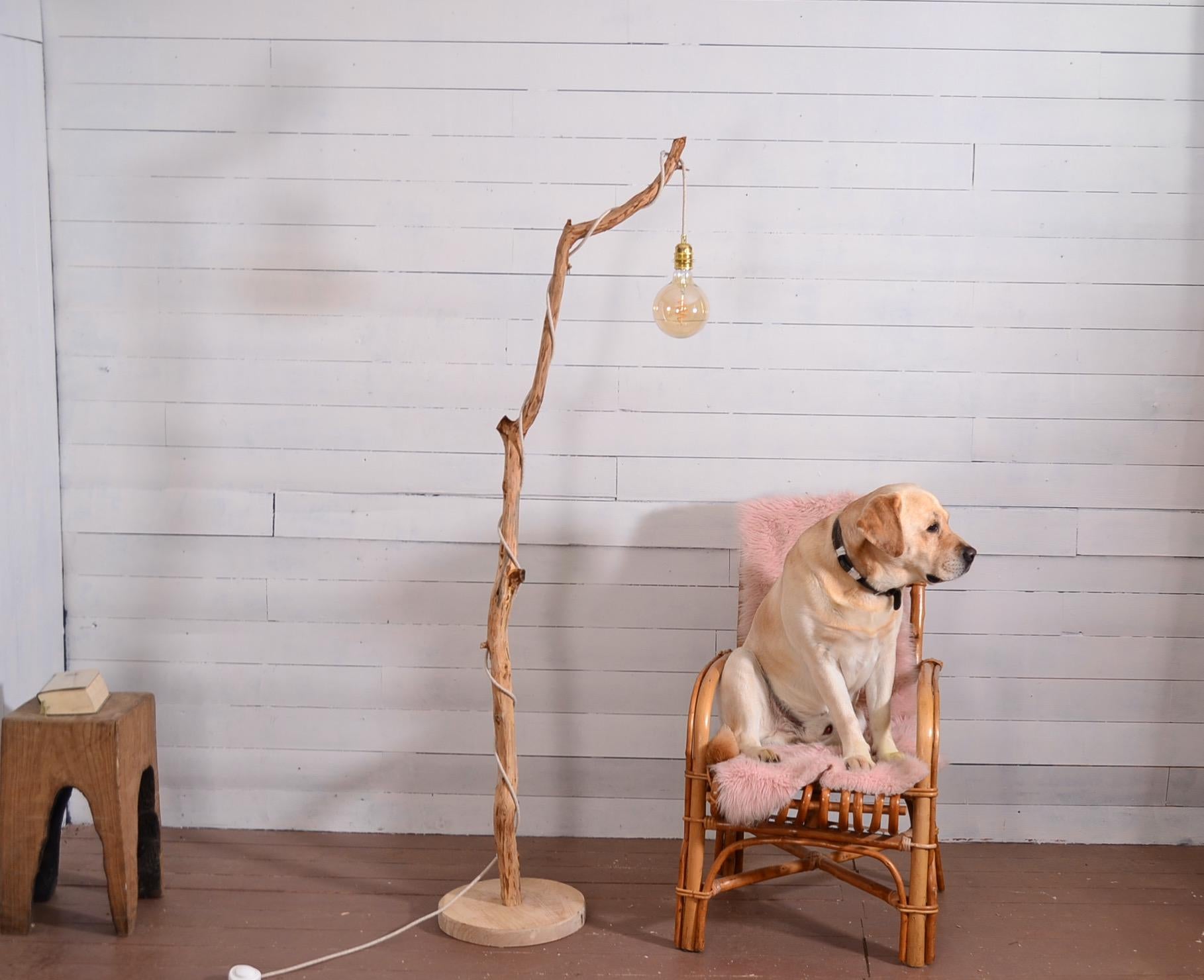 Lampadaire avec une belle branche de chêne