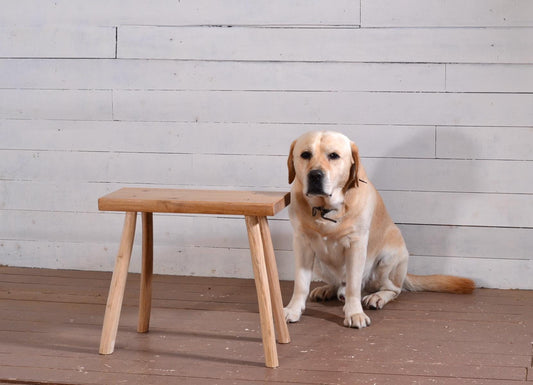 Tabouret en chêne massif, artisanal, bout de canapé, déco intérieure nature, meuble durable
