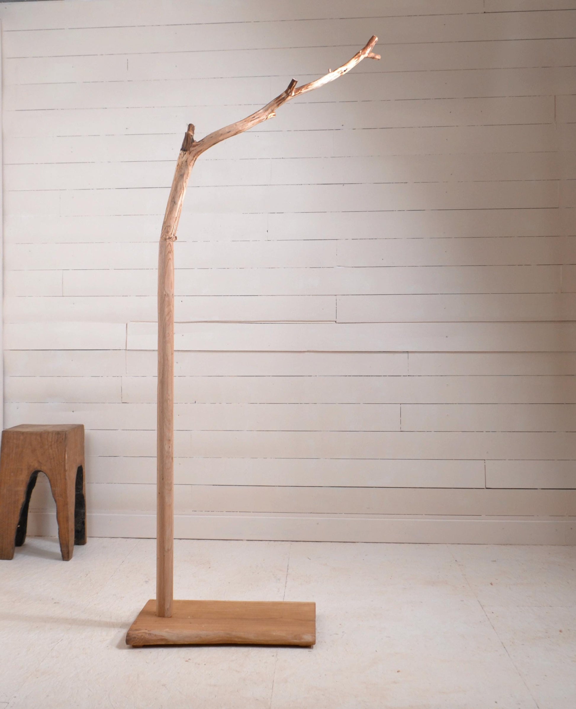 Valet de chambre, portant vêtements en bois avec une branche (chêne)