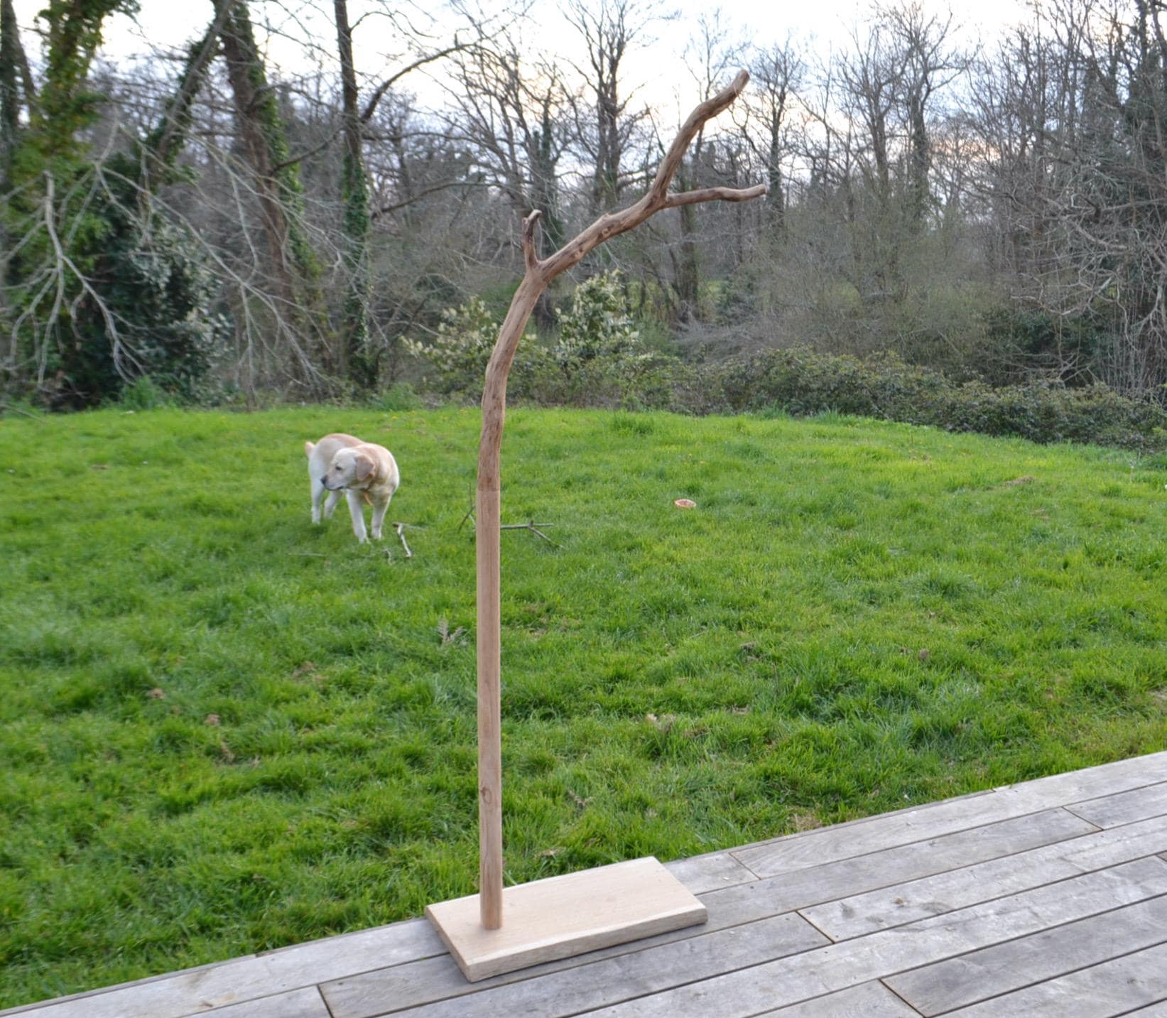 Valet de chambre, portant vêtements, dressing en bois avec une branche (chêne)