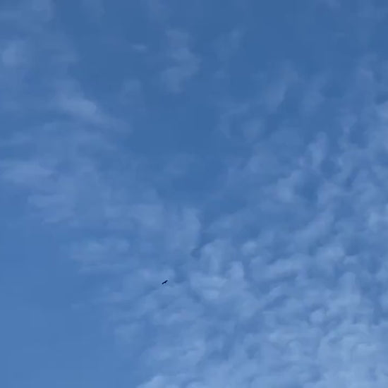 Porte manteau en bois avec des jolies branches, déco nature et design
